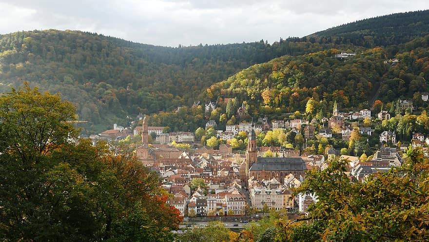 自然、タウン、旅行、観光、秋、シーズン、ハイデルベルク、歴史的な、シティ