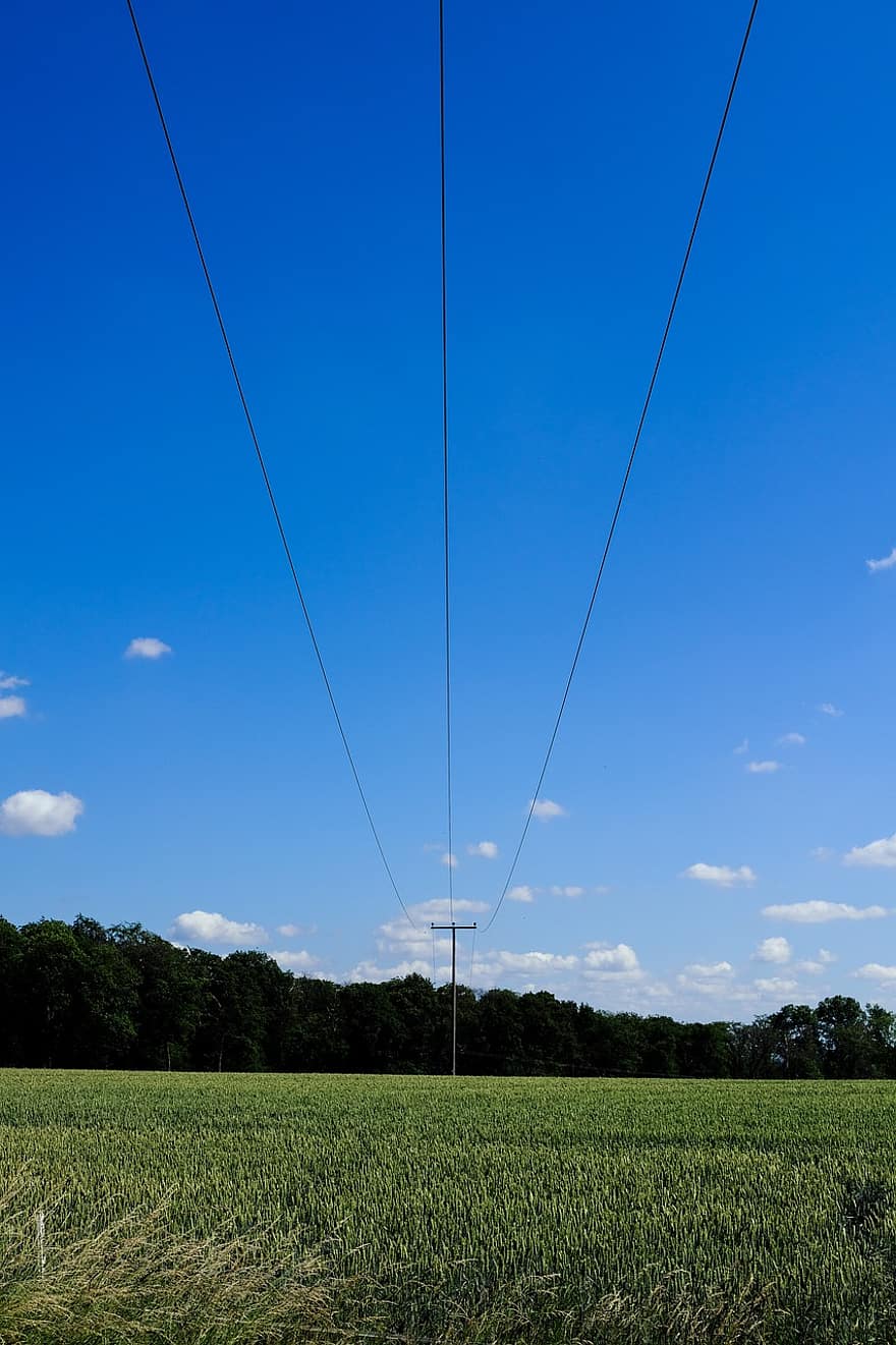 Outdoor, Field, Nature, Wire, Electric, Plant, Sun, Sky, Mood