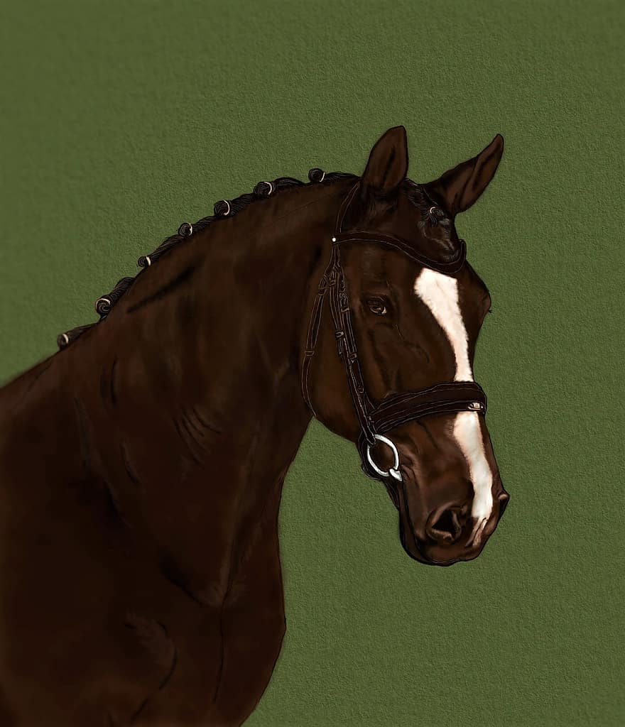 retrato, caballo, marrón, ilustraciones digitales
