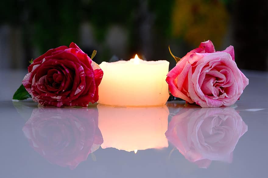 Rosen, Kerze, Reflexion, Blumen, Paar, Blütenblätter, Rosenblätter, blühen, Rosenblüte, Kerzenlicht, weißglühend