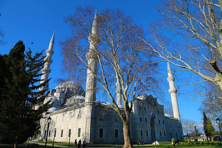 Arsitektur, cami, menara, kubah, Islam, agama, kota, bangunan, di, Turki