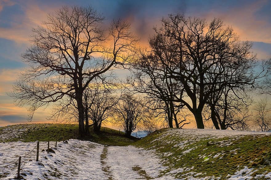 Trees, Winter, Snow, Hill, Fence, Evening Light, Clouds, Lane, Nature, sunset, tree