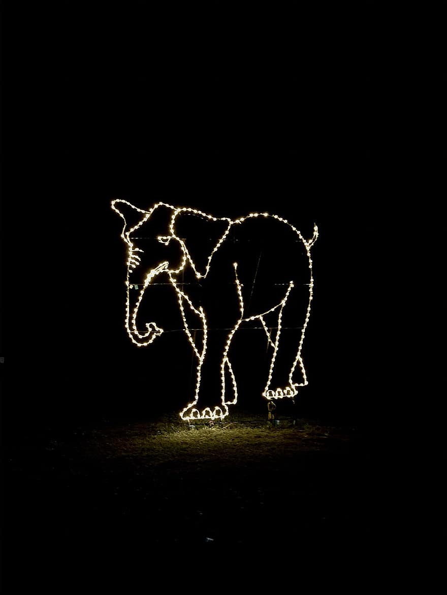 elefant, lys, julelys, jul, december, farverig, belysning, glødende, ferie, fest, parkere