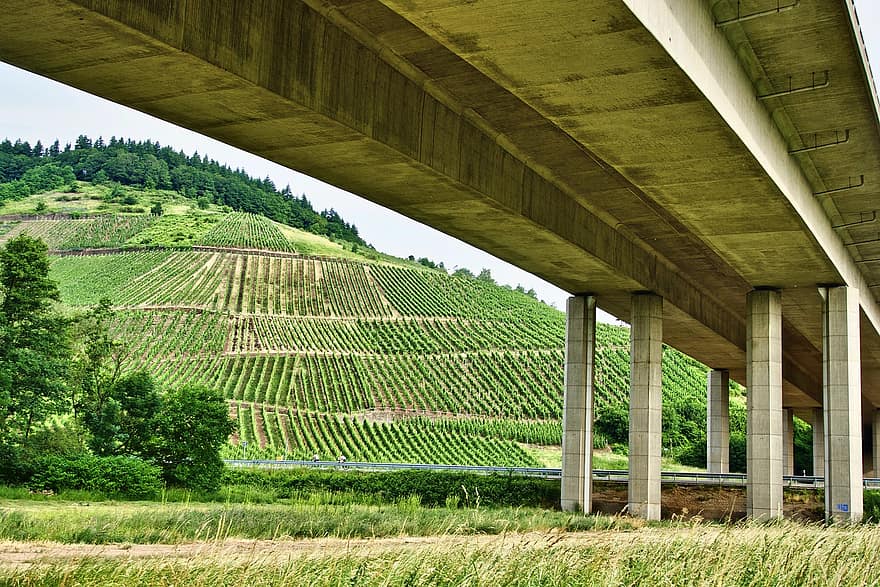 jembatan, cara, pemeliharaan anggur, kebun anggur, lereng, lembah