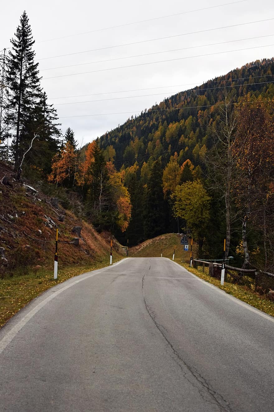 estrada, rodovia, outono, campo, caminho, natureza, trentino, Itália, floresta, árvore, cena rural
