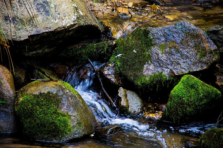 поток, река, рекичка, ручей, гора, зелен цвят, рок, вода, дърво, пейзаж, листо