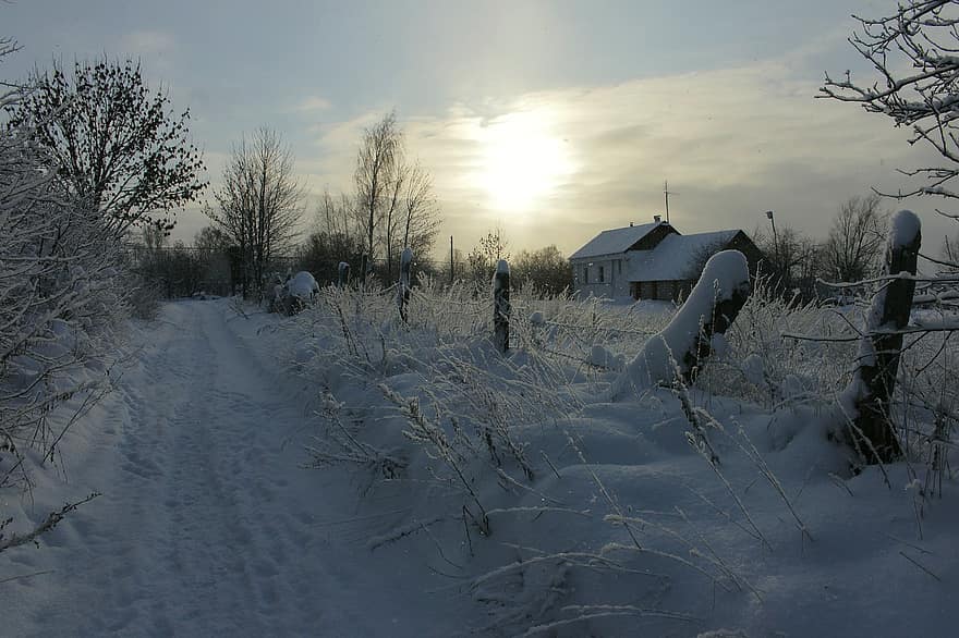 zimowy, Natura, pora roku, na dworze, śnieg, wioska, zimno, mróz, drzewo, scena wiejska, krajobraz