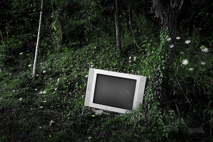 televisão, floresta, tecnologia antiga, natureza, despejar, velho, tecnologia, antiquado, grama, obsoleto, cor verde