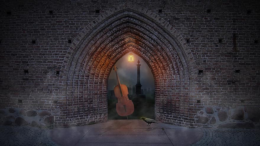 cello, portaal, begraafplaats, muur, kraai