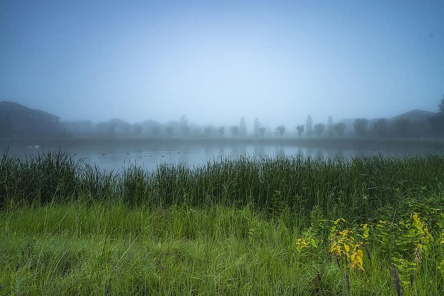 niebla de la manana, junto al lago, prado, lago, paisaje de niebla