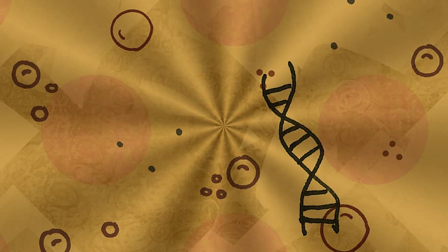 gene, bolle, sfondo, Cromosomi, genetica, biologia, dna, scienza, genoma, medicina, microbiologia
