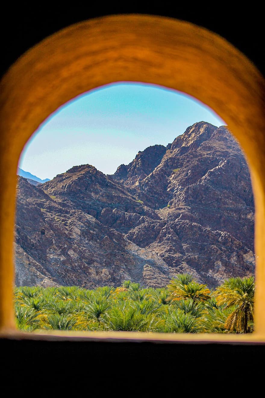 Fenster, Berg, Palme, Oman, Natur