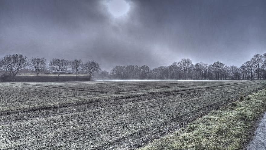 Fields, Trees, Rural, Outdoors, landscape, farm, rural scene, tree, winter, agriculture, grass