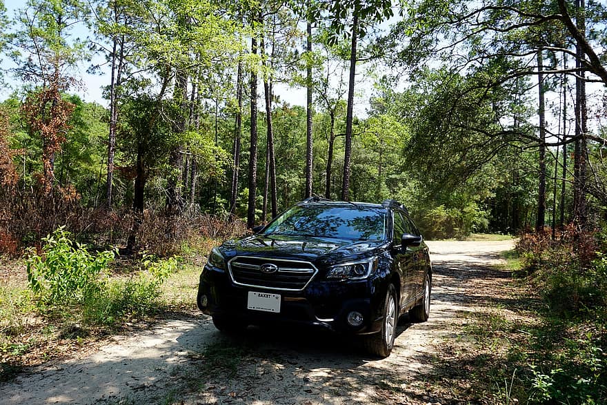 Car, Subaru, Suv, Outback, Forest, Dirt Road, Outdoors, Road