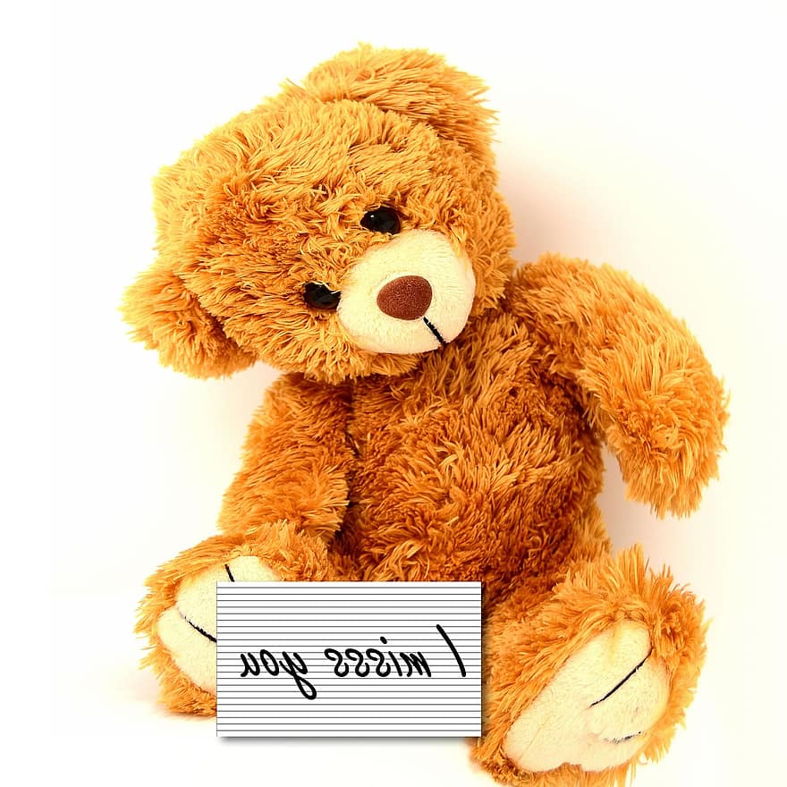 oso de peluche, Peluche, juguete, oso, texto, sorpresa, regalo, presente