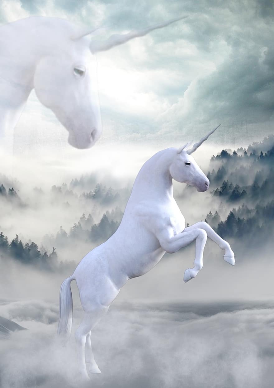unicorn, pemandangan, suasana, dongeng, mistik, kuda, makhluk mitos, salju, putih, sihir, sejarah