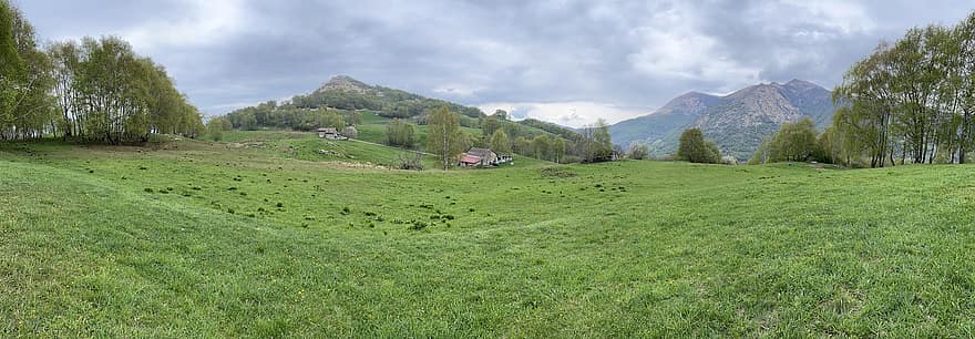 Medeglia, village, campagne, panorama, Suisse