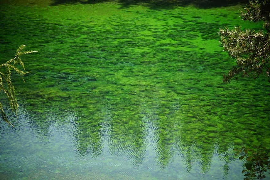 lago, agua, reflexão, Lago Verde, Estiria, floresta, lazer, caminhar, claro como cristal, algas, cor verde