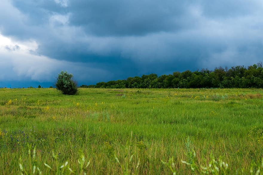 Grass, Field, Meadow, Clouds, Rain, Thunderstorm, Storm, Atmosphere, Weather, Thunder, Nature
