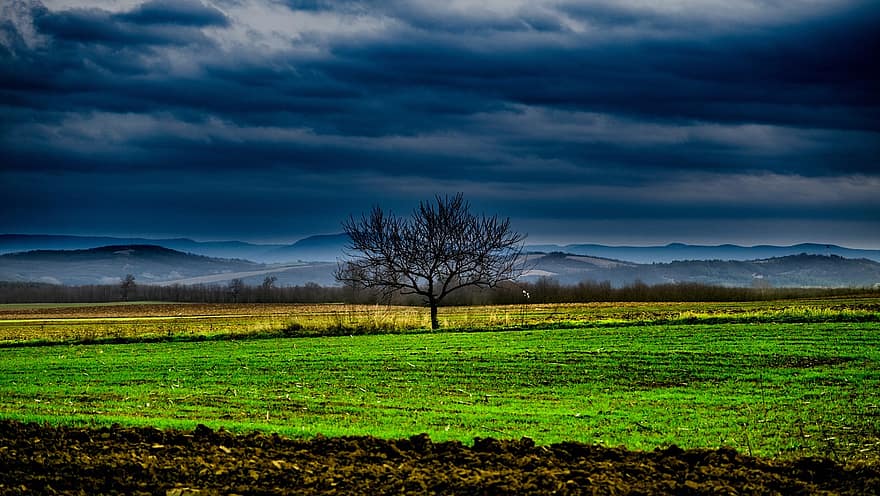 Mountains, Fields, Clouds, Cloudy, Gloomy, Overcast, Grasslands, Hills, Tree, Single Tree, Nature