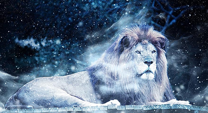 ライオン、雪、アート、ビンテージ、冬、自然、動物、装飾的な、ブルーアート