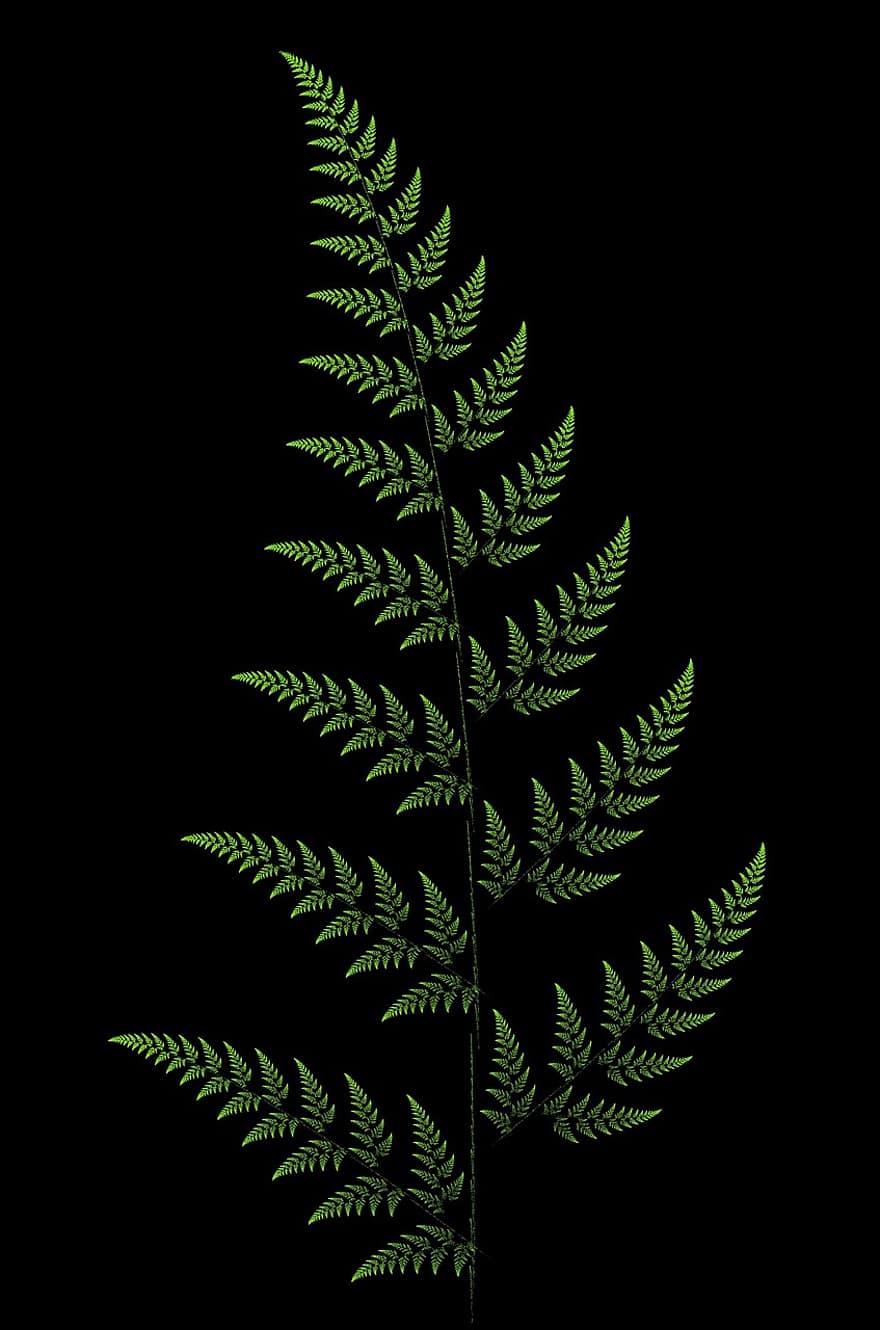 fractal, puun lehti, vihreä