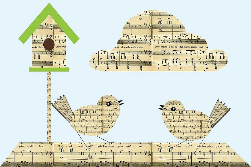 burung, burung-burung, imut, aneh, musik, musikal, catatan, not balok, lembar musik, menyenangkan, kertas