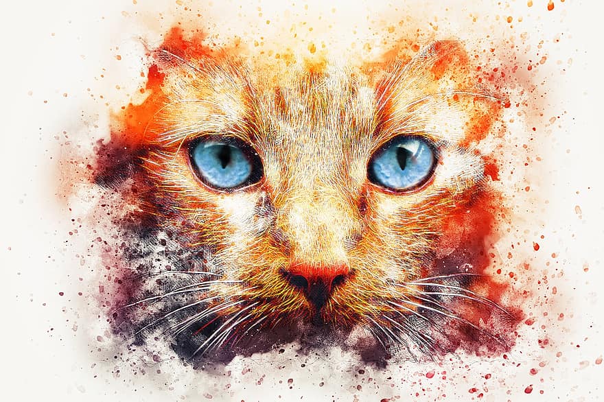 قط ، عيون ، كيتي ، حيوان ، ألوان مائية