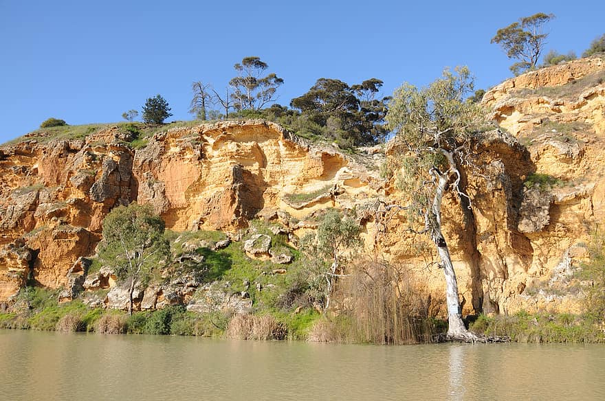 نهر ، جرف ، طبيعة ، شجرة الأوكاليبتوس ، الحجر الرملي ، انحدار ، نهر موراي ، جنوب استراليا ، المناظر الطبيعيه ، شجرة ، صخرة