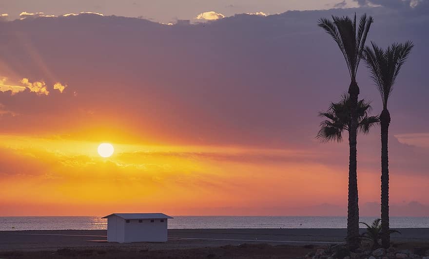 pláž, palma, západ slunce