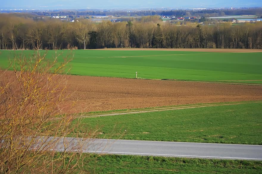 Landau an der Isar, bidang, pedesaan, jalan, pemandangan, alam, jerman, padang rumput, rumput, musim semi, pohon