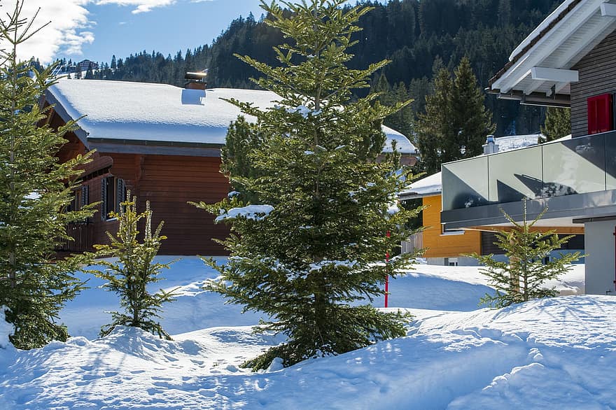 Ελβετία, χειμώνας, σπίτια, Brunni Canton Of Schwyz, δέντρα, χιόνι, ουρανός, φύση, βουνό, εξοχικό σπίτι, δέντρο