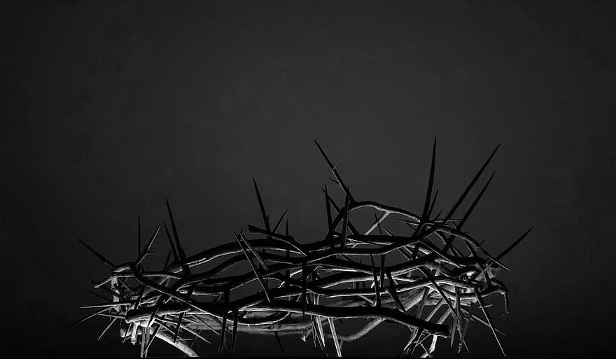 Crown Of Thorns, Holy Week, Religion, Christianity, Easter, Good Friday, Passion Week, backgrounds, catholicism, close-up, god