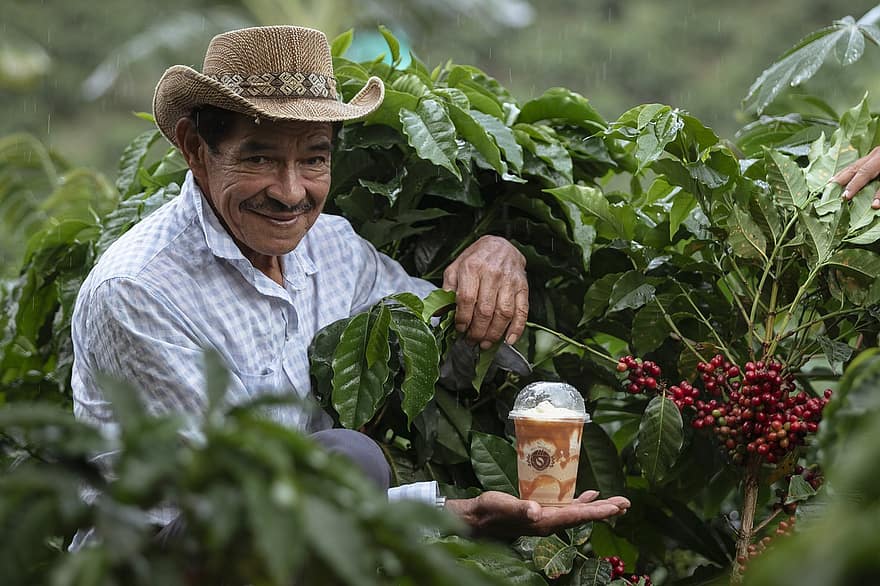 viljelijä, kahvi, Kolumbian kahvia, Kolumbia, Huila, miehet, aikuinen, hymyilevä, yksi henkilö, maatalous, kesä