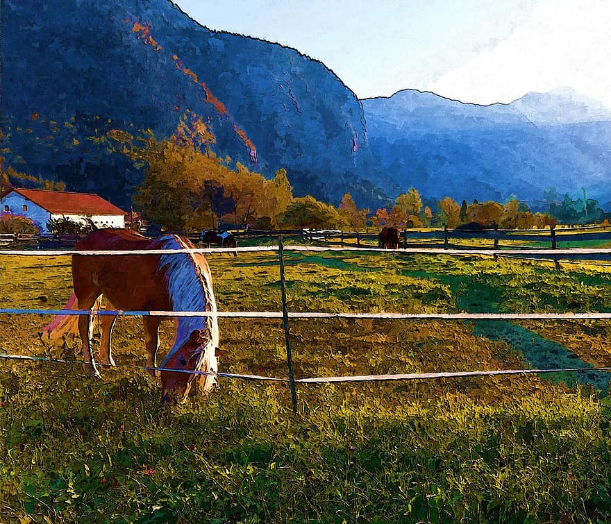 Obertraun, cal, în aer liber, natură, hrănire, Ranch, fermă, deschis, camp, gard, verde