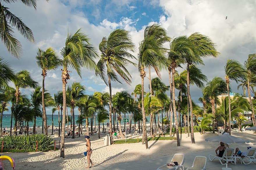 plage, tropical, Caraïbes, palmiers, été, les vacances, palmier, le sable, climat tropical, station touristique, bleu