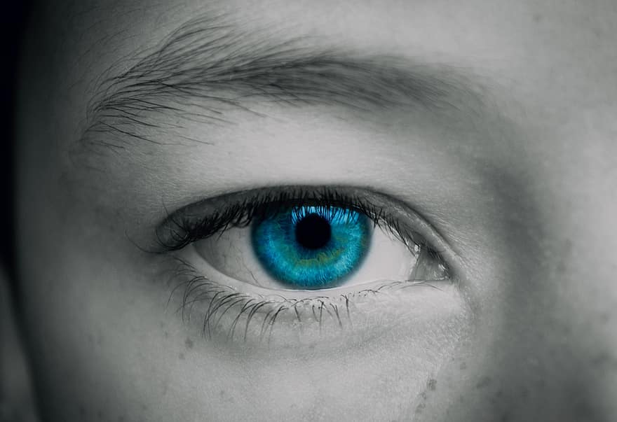 ull, blau, vista, visió, pestanyes, celles, iris, macro, ulls, primer pla, ull humà