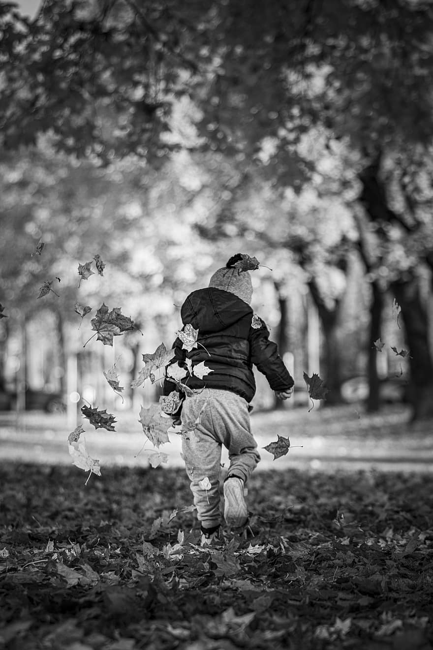 çocuk, park, sonbahar, açık havada oynamak, düşmek, Parkta Koşmak, doğa, orman, siyah ve beyaz, ağaç, açık havada