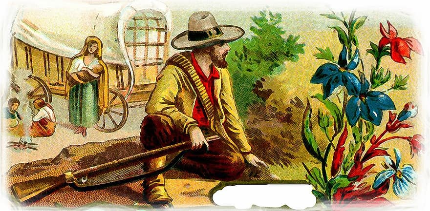 Gaucho, Farmer, Rural, South America, Wagon, Cowboy, Flowers