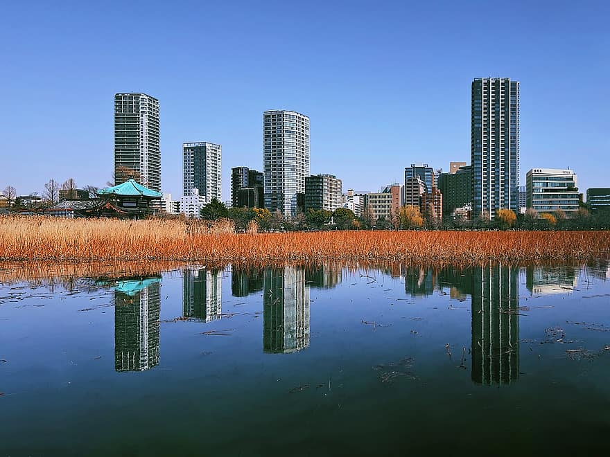 град, Shinobazu Pond, Япония, езерце, жилищни сгради, архитектура, сгради, градски пейзаж, поле, трева, високи сгради