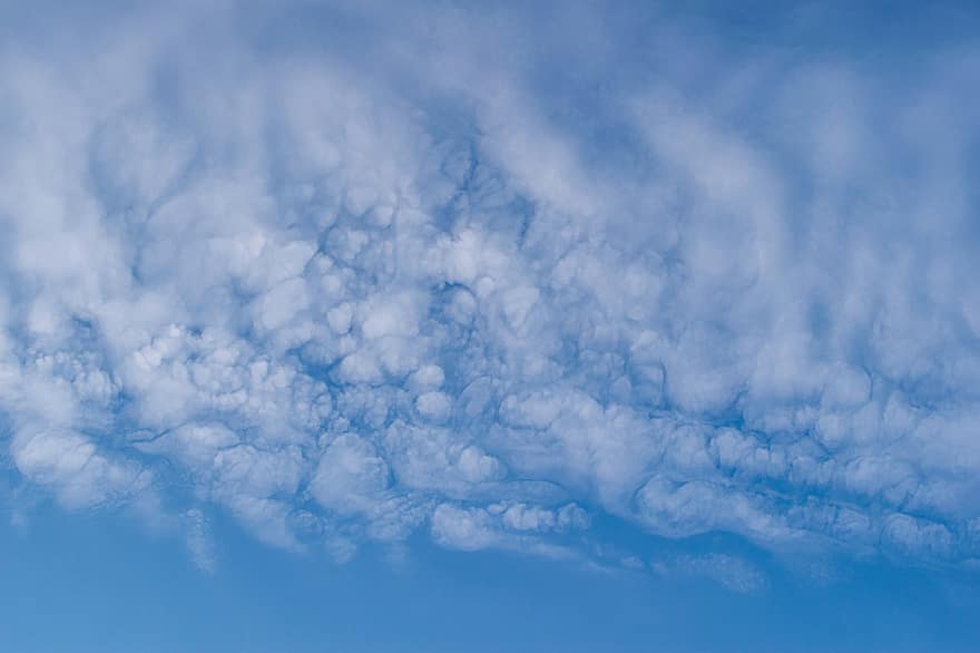 cer, nori, în aer liber, spațiul aerian, albastru, vreme, fundaluri, zi, vară, stratosferă, nor