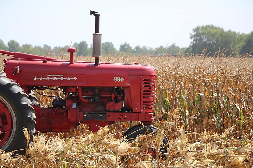 traktors, jomā, lauksaimniecību, ražu, kukurūzas lauks