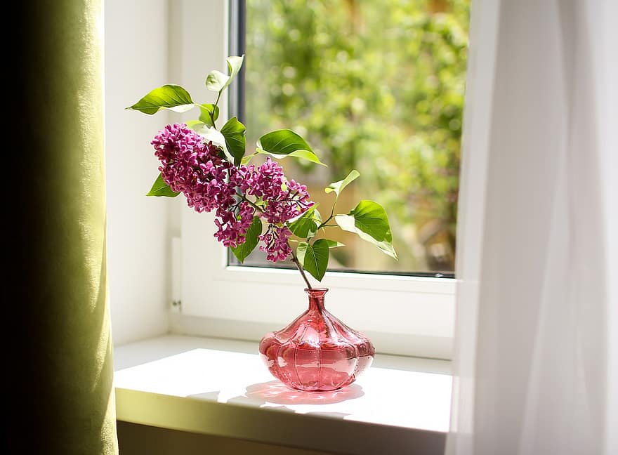 hoa cà, chi nhánh, cái bình hoa, trên bệ cửa sổ, những bông hoa, mùa xuân, hoa, màu tím, bông hoa, cửa sổ, ở nhà
