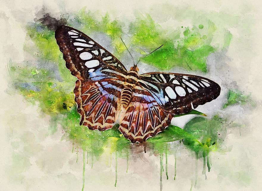motýl, tropický motýl, exotický, hmyz, křídlo, velký motýl, tropické motýli, Příroda, Botanická zahrada, vodové barvy