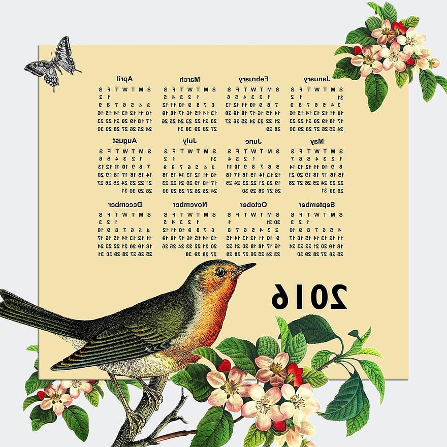 Kalender 2016, 2016, kalender, jaar, maand, datum, organisator, dagboek, planning, ontwerper, vogel