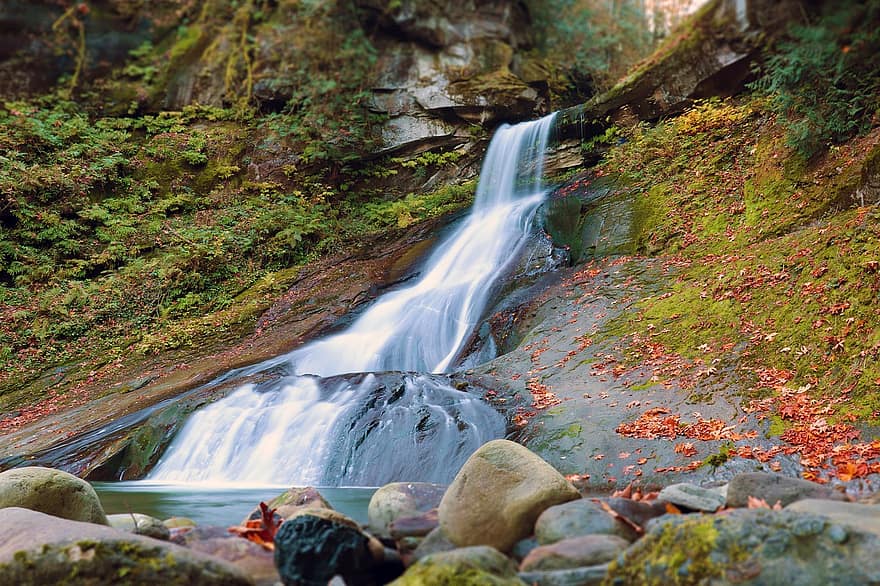 Waterfall, River, Forest, Rocks, Water, Stream, Creek, Cascade, Scenery