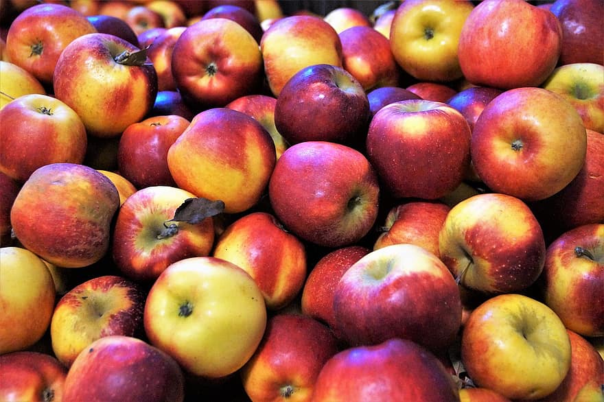 augļi, ābolus, svaiga, bioloģiski, ražu, veselīgi, vitamīns, ābolu, svaigumu, ēdiens, veselīga ēšana
