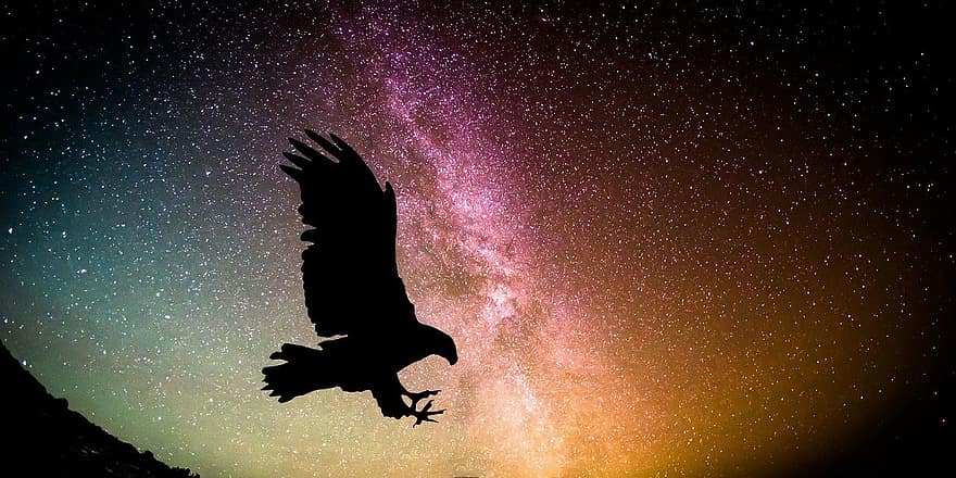 αετός, πουλί, γεράκι, φτερό, raptor, πέταγμα, φύση, Νύχτα, ουρανός, γαλαξίας, χώρος