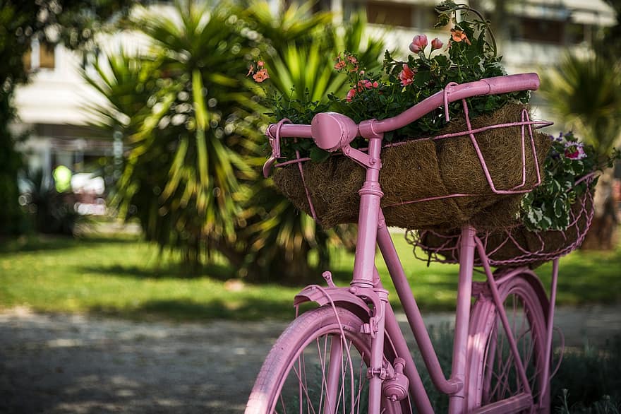 rower, kwiaty, koła, garnek, rośliny, dekoracja, dekoracyjny, sztuka, metal