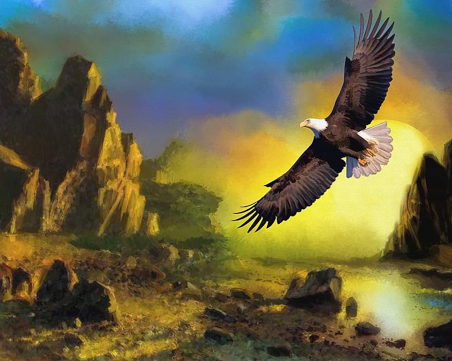 Eagle, Wildlife, Sunset, Flying, Nature, Bird, Landscape, Decoration, Artwork, Digital Art, Digital Painting